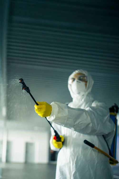 Office sanitization service