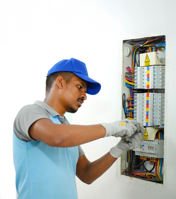 Professional Electrical Services