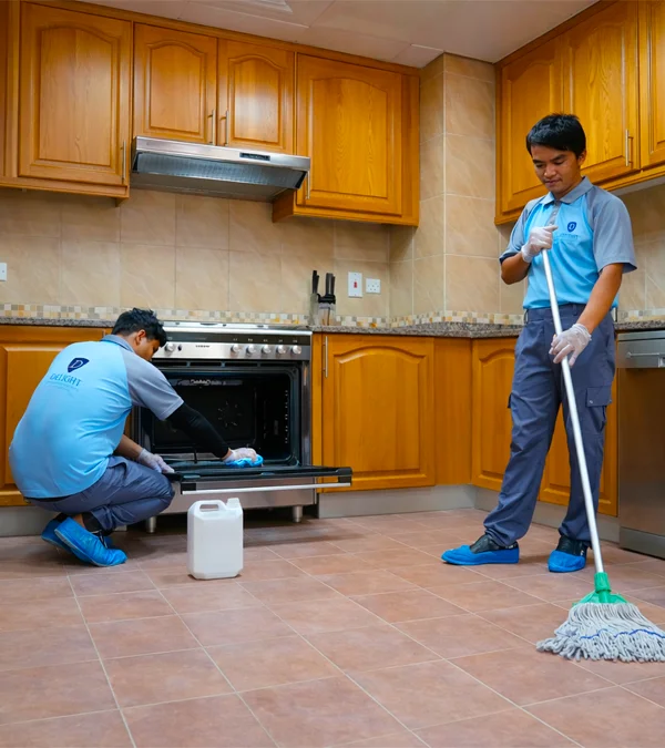 Professional House Cleaning Services