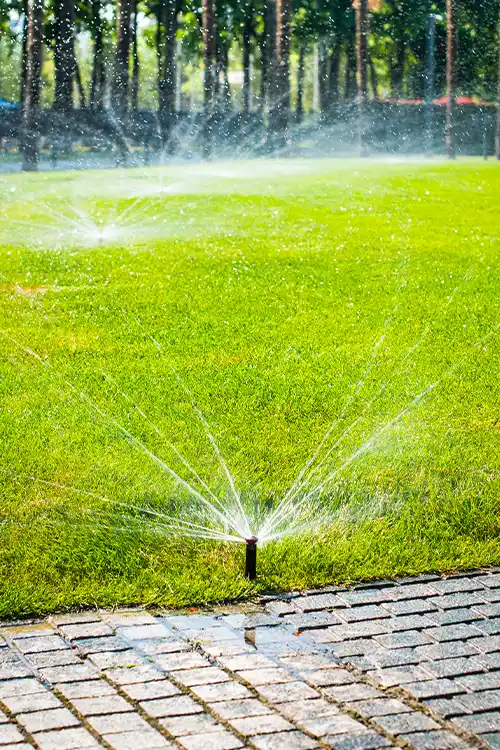 Gardening and Landscape service