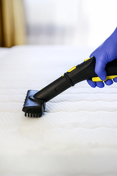 Mattress Cleaning services