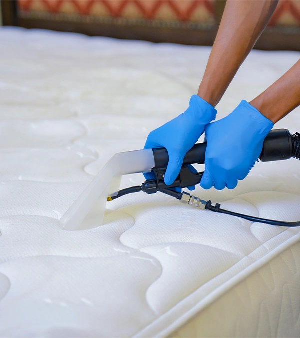 Mattress Cleaning Services