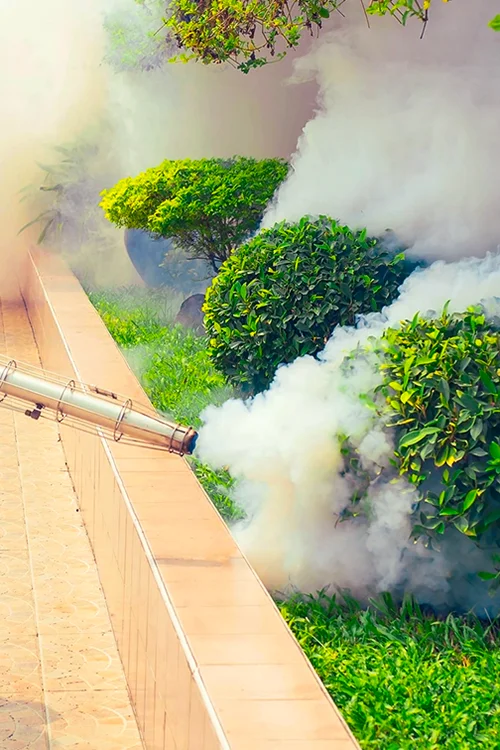 Pest Control services