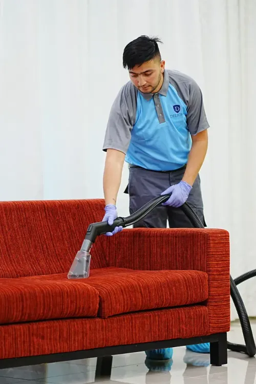 Sofa and upholstery cleaning service by Delight IFM